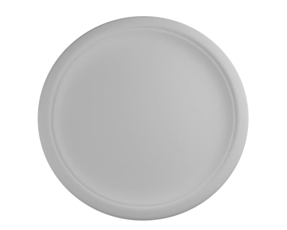 Compostable Dinner Plates