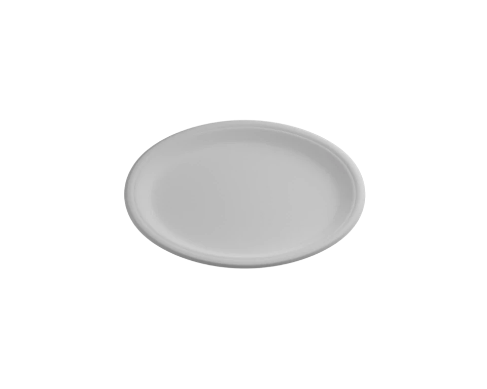 Disposable Party Platters