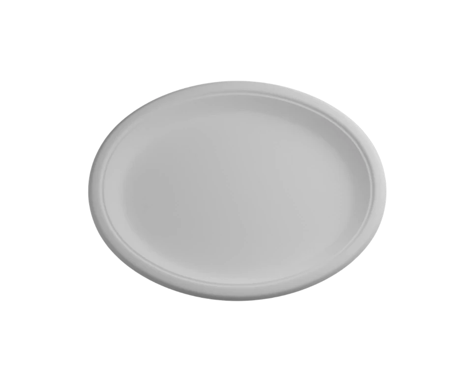 Recyclable Party Plates
