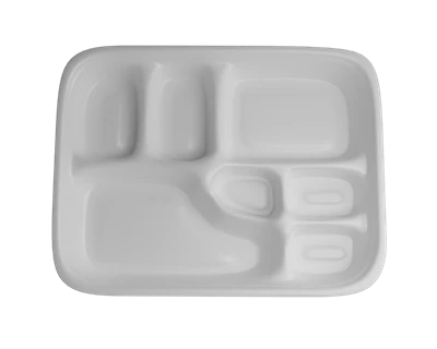 Biodegradable Bento Box