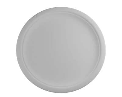 Compostable Dinner Plates