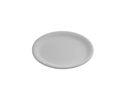 Disposable Party Platters