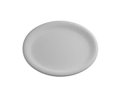 Recyclable Party Plates